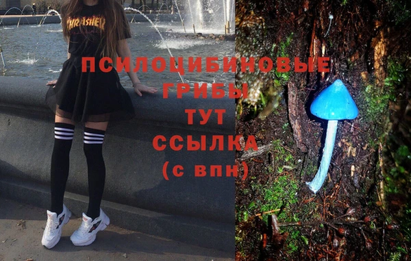 таблы Лагань